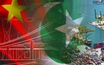 pakistan pitches investment to chinese firms