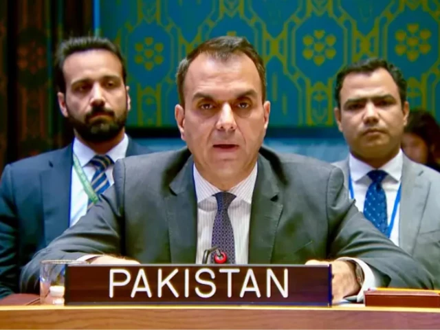 Pakistan condemns Houthi attacks on KSA