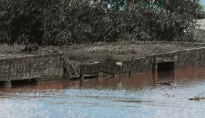 the waters rise the lessons sink