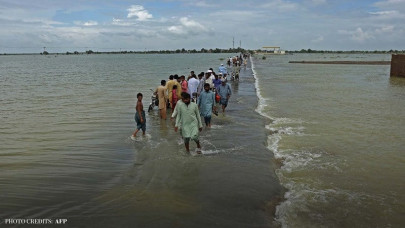 heavy rains decimate plantations heavy rains decimate plantations