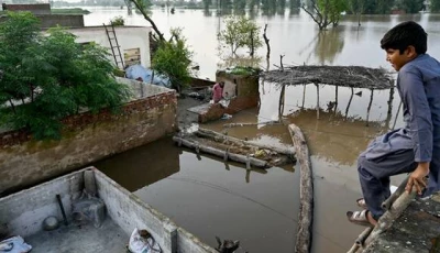a flood affected villager looks at the overflowing river sutlej as he sits over the rooftop of his house in kasur district punjab province on september 3 2025 photo afp
