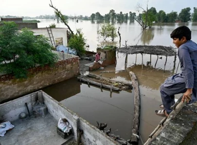 2 2m safely evacuated 4 2m affected in punjab floods marriyum aurangzeb 2 2m safely evacuated 4 2m affected in punjab floods marriyum aurangzeb