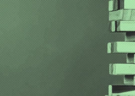 looking to a precarious future