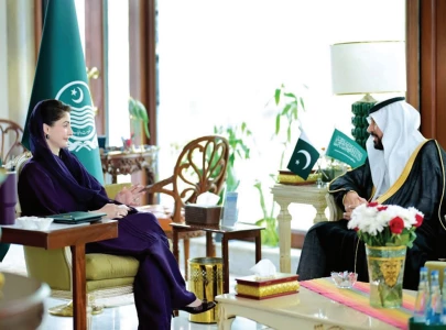 people of pakistan stand with saudi arabia