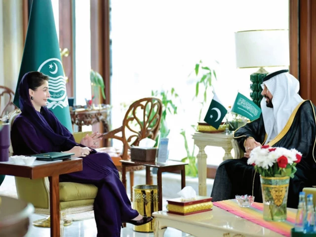 saudi ambassador dr rajeh albugamy meets punjab chief minister maryam nawaz photo express saudi ambassador dr rajeh albugamy meets punjab chief minister maryam nawaz photo express