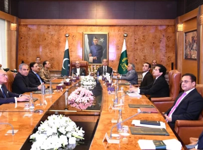 pakistan stresses coordinated economic energy response amid regional tensions