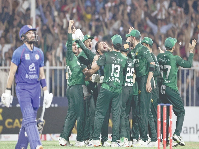 pakistan s players celebrate after taking the wicket of afghanistan s ibrahim zadran during the t20i match against afghanistan in sharjah photo afp pakistan s players celebrate after taking the wicket of afghanistan s ibrahim zadran during the t20i match against afghanistan in sharjah photo afp
