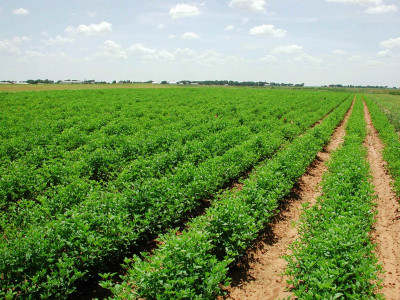 experts for public private role in food security experts for public private role in food security