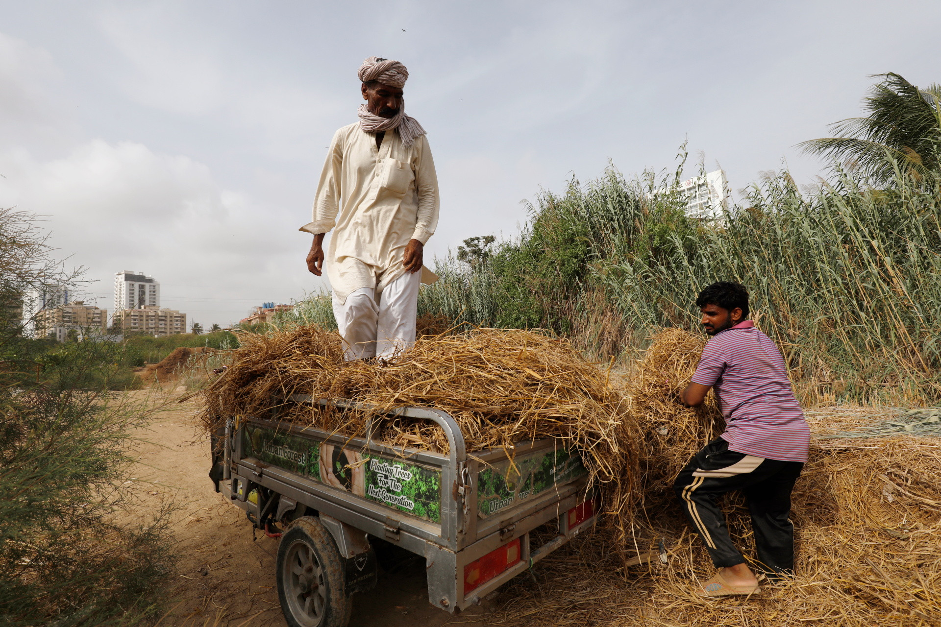 Mulazim Hussain collects dry grass in his electric rickshaw in Karachi, July 9, 2021. REUTERS