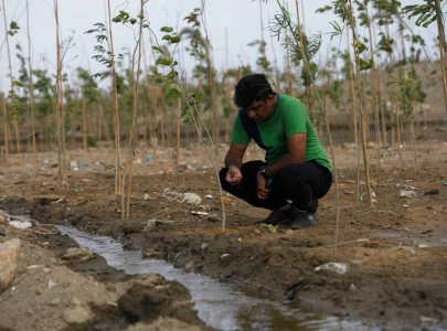 farmers urged to get soil analysis done farmers urged to get soil analysis done
