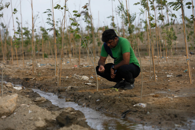 masood lohar 54 a development expert who has overseen clifton urban forest checks the soil in karachi may 26 2021 reuters masood lohar 54 a development expert who has overseen clifton urban forest checks the soil in karachi may 26 2021 reuters