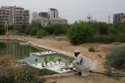 pakistanis plant trees to provide relief from scorching sun pakistanis plant trees to provide relief from scorching sun