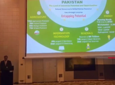 pakistan investment roadshow in dubai attracts global investors