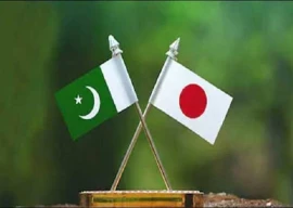 pakistan seeks to diversify opportunities