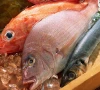 seafood exports could reach 2b