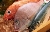 seafood exports could reach 2b