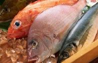 seafood exports could reach 2b