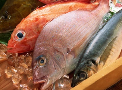 seafood exports could reach 2b
