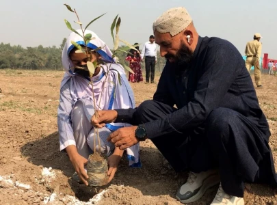 pakpattan environmentalist gifts 10 000 trees to lahore to combat smog pakpattan environmentalist gifts 10 000 trees to lahore to combat smog