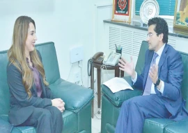 pakistan us discuss energy cooperation