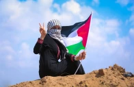 pakistan is a firm believer of the fact that there can t be real peace in the middle east unless the palestine issue is resolved fairly photo pixabay