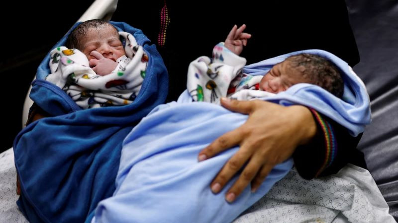 gaza government confirms 1 091 babies dead in ongoing israeli onslaught