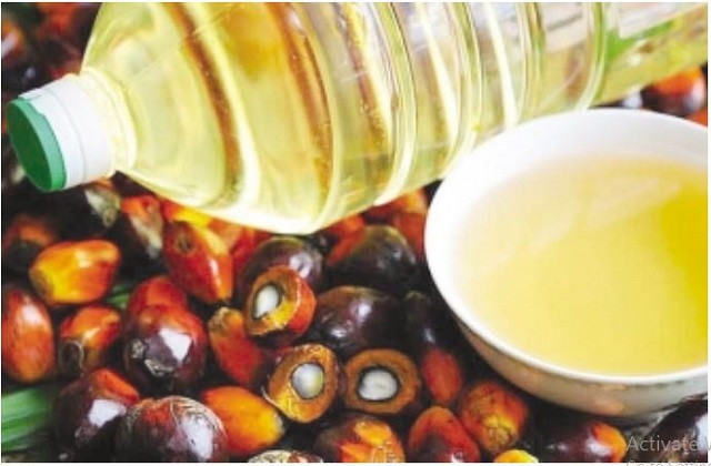 Experts call for palm oil cultivation