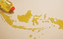 palm oil central to food security palm oil central to food security