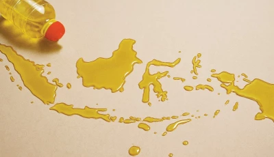 palm oil central to food security