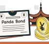 pakistan hints at panda bonds this year