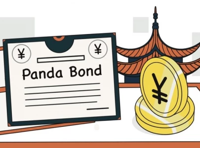 300m panda bonds planned