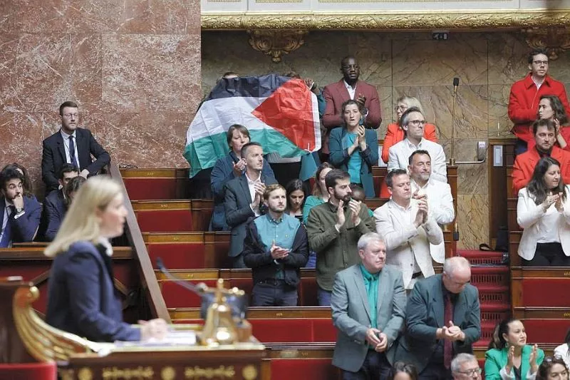 french mp rachel keke behind the flag hoisting palestine flag in french parliament photo afp french mp rachel keke behind the flag hoisting palestine flag in french parliament photo afp