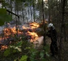 a firefighter works to extinguish flames in the fontainebleau forest during wildfires in noisy sur ecole near paris during a heatwave affecting large parts of france july 13 2026 photo reuters