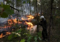 a firefighter works to extinguish flames in the fontainebleau forest during wildfires in noisy sur ecole near paris during a heatwave affecting large parts of france july 13 2026 photo reuters