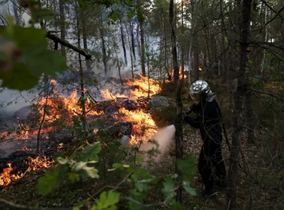 firefighters battle fontainebleau forest fire near paris as two arrested firefighters battle fontainebleau forest fire near paris as two arrested