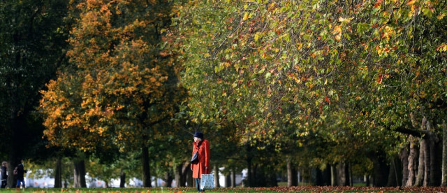 a women walks in a park photo reuters a women walks in a park photo reuters