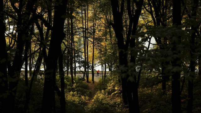 a man cycles in a park photo reuters a man cycles in a park photo reuters