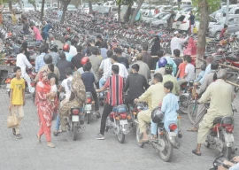 fee discount draws lahore zoo visitors fee discount draws lahore zoo visitors