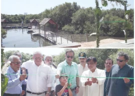 karachi welcomes country s first floating mangrove biodiversity park karachi welcomes country s first floating mangrove biodiversity park