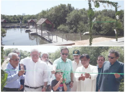 karachi welcomes country s first floating mangrove biodiversity park karachi welcomes country s first floating mangrove biodiversity park