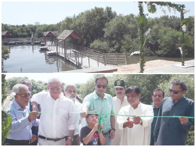 mayor wahab alongside his son inaugurates the mangrove biodiversity park at korangi creek an initiative aimed at promoting environmental awareness marine conservation and the protection of coastal ecosystems photos express mayor wahab alongside his son inaugurates the mangrove biodiversity park at korangi creek an initiative aimed at promoting environmental awareness marine conservation and the protection of coastal ecosystems photos express