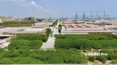 chinese company pledges to build dynamic gwadar port