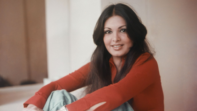 web series on parveen babi s life in the works web series on parveen babi s life in the works