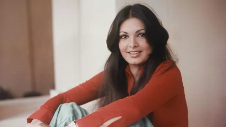 web series on parveen babi s life in the works web series on parveen babi s life in the works