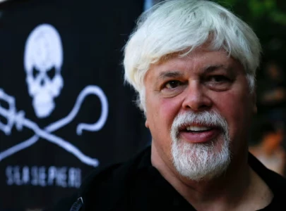 greenpeace co founder faces extradition and 15 year prison sentence in japan