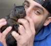 peanut s law introduced in new york after state euthanizes social media famous squirrel peanut s law introduced in new york after state euthanizes social media famous squirrel