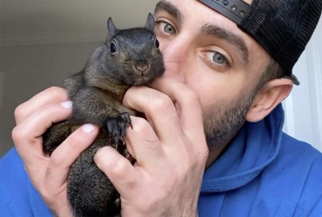 family of peanut the squirrel sues new york over alleged execution of tiktok famous pet family of peanut the squirrel sues new york over alleged execution of tiktok famous pet