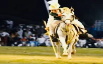 youth revives family s tent pegging legacy