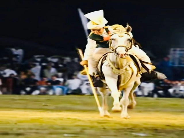 mohazim iqbal jadoon has emerged as one of pakistan s most promising young tent pegging riders photo app file mohazim iqbal jadoon has emerged as one of pakistan s most promising young tent pegging riders photo app file