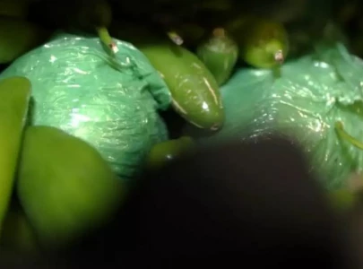 31m worth of meth seized hidden in serrano pepper shipment at texas border by cbp officers 31m worth of meth seized hidden in serrano pepper shipment at texas border by cbp officers